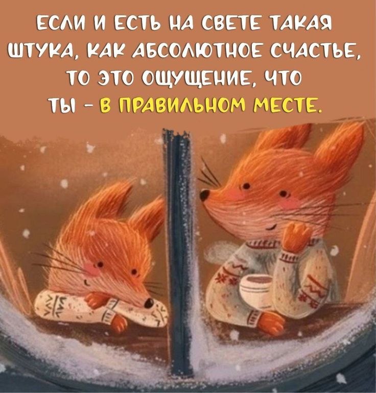 ��� ���� - 12 ����� 2026 � 20:44
