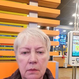 ���� ����, ������, 66 ��� - ��������� 2 ������� 2024