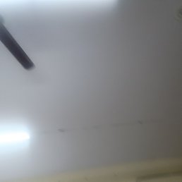 Faizu, �������, 19 ���