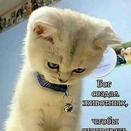 �������, ������, 48 ���