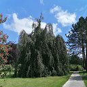 ���� Alexander, ������, 62 ���� - ��������� 1 ������� 2023 � ������ �������