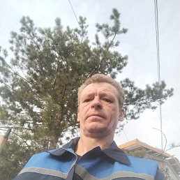 , 52 , 