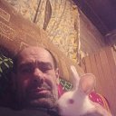 ���� ������, ������������, 51 ��� - ��������� 15 ���� 2025 � ������ ���� ����������