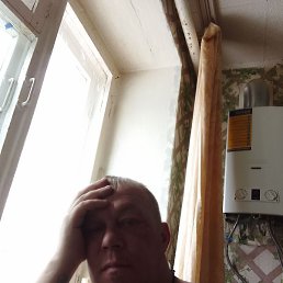 ����, ���������, 46 ���