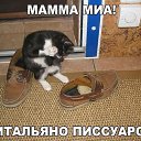 ���� �����, ���� - ��������� 6 ���� 2024 � ������ ���� ����������