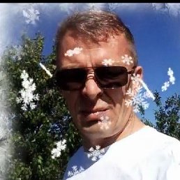 �������, ������, 49 ���