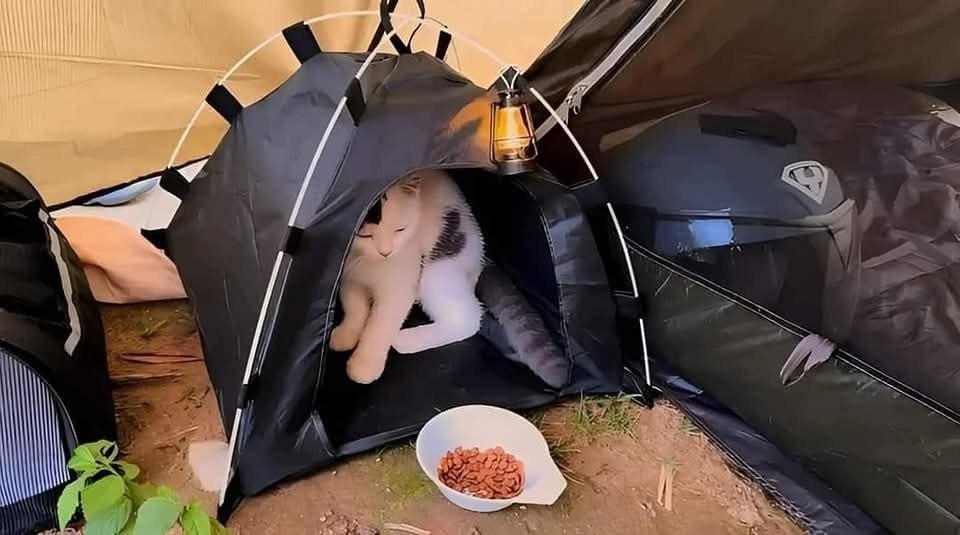 =»>.Если с другом вышел в путь, Веселей дорога! - 2