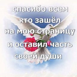 ����, ������