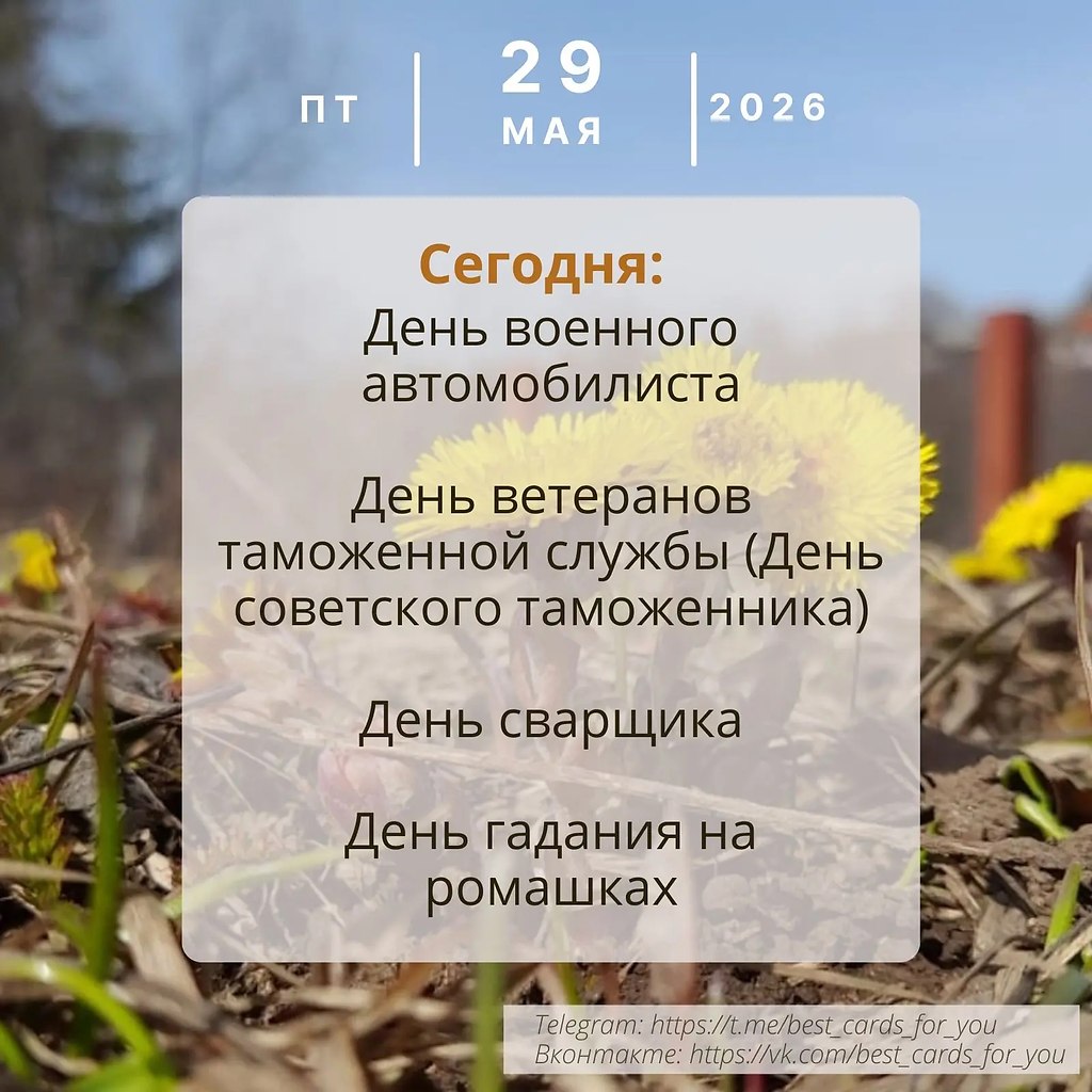 ����������� � ���������, �������� �� ������ ����. - 29 ��� 2026 � 00:30