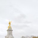 ���� ����, �������, 36 ��� - ��������� 9 ������ 2025 � ������ ���� ����������