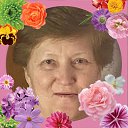 ���� ���������, ������, 66 ��� - ��������� 20 ����� 2026