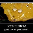 ���� �������, ��������� - ��������� 20 ������� 2025 � ������ ���� ����������