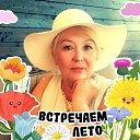 ���� ������, ����� - ��������� 26 ������ 2026 � ������ ���� ����������