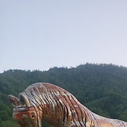 , , 30 