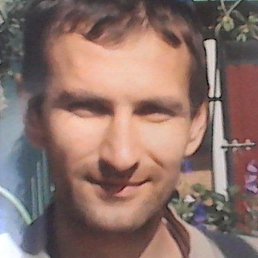 �������, ������, 39 ���