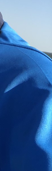 ������, ��������, 36 ���