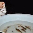 ���� ��������, ��������, 71 ��� - ��������� 12 ������ 2025 � ������ ���� ����������