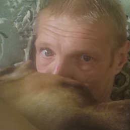 ˸�� ����, ������, 41 ���