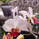 ���� �������, ������ - ��������� 14 ������� 2025 � ������ ���� �������