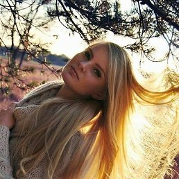 �����, ��������������, 41 ���