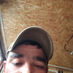 , 33, 