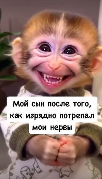  - 23  2025  19:57