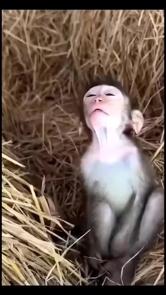 � ����� ����� �� �������, � �� ���������� ���! - 2
