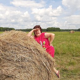 ���� �����, ����������, 63 ���� - ��������� 2 ������� 2026