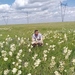 ���� ������, �����, 48 ��� - ��������� 2 ������ 2026