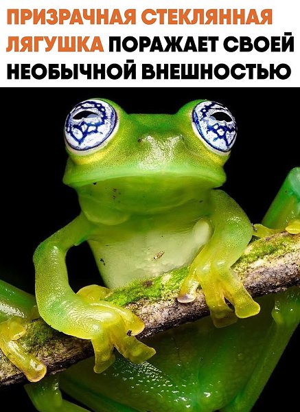 ���������� ���������� ������� �������� ����� ��������� �� ������ ������. ��� ���������� ��� ...
