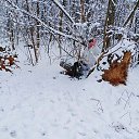 ���� �������, ������, 67 ��� - ��������� 15 ������� 2025