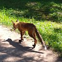  , -, 43  -  12  2024    