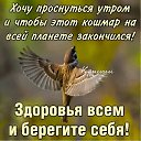���� ����, ���������, 65 ��� - ��������� 24 ������� 2026 � ������ �������