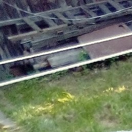 ������, ���������, 31 ���