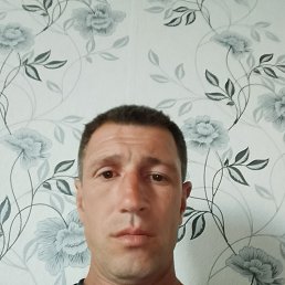 , 41 , 