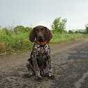 ���� ������, ����� - ��������� 29 ������ 2025 � ������ ������ ��������