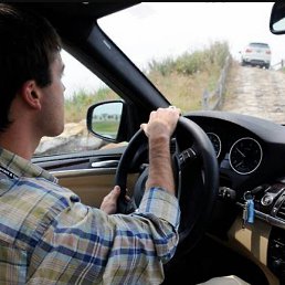 ����������, ������, 41 ���