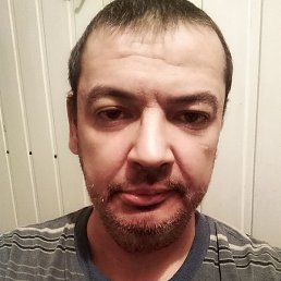 ������, �����-���������, 41 ���