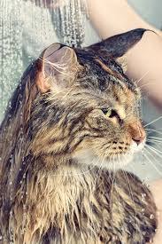 Мокрые киски - 13 мая 2025 в 21:20