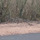 ���� ����, �����-���������, 38 ��� - ��������� 16 ������� 2026 � ������ ���� ����������