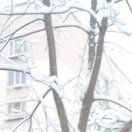 �������, �����-���������, 47 ���