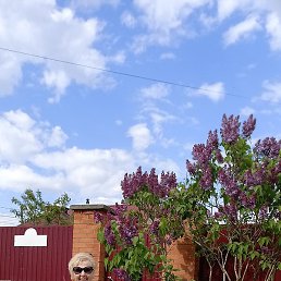 ������, �������������, 65 ���