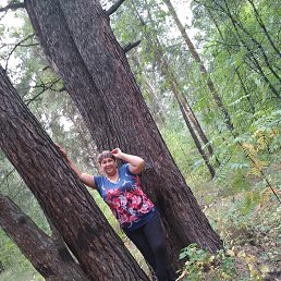 ���� ������, ������� - ��������� 22 ������� 2026