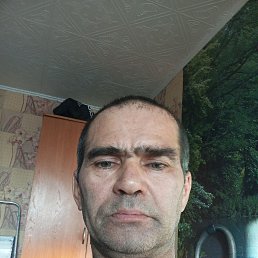 , 51 , 