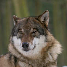 ���� �������, �����-��������� - ��������� 3 ������ 2026