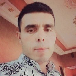, 33 , 