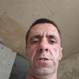 , 41, 