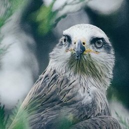 ������, ������, 23 ����