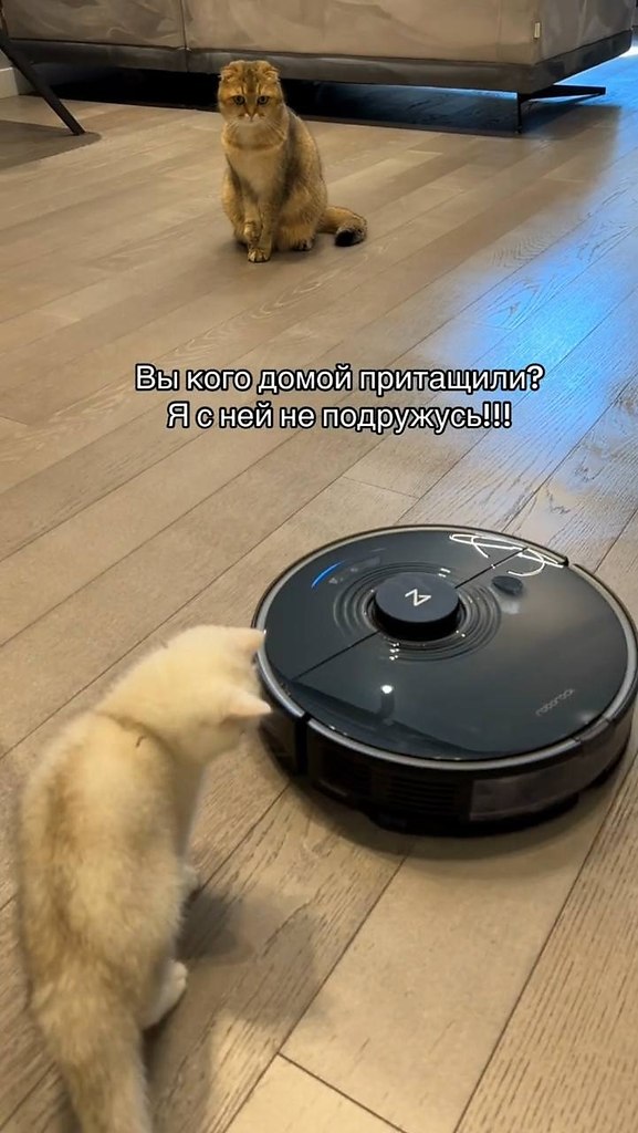 ��-����, � ��� ����������