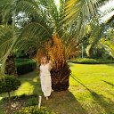 ���� �����, ������������, 53 ���� - ��������� 18 ������� 2025